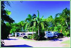 Tropical Hibiscus Caravan Park - Accommodation Gladstone