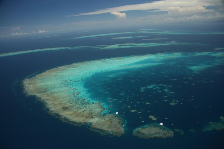 Great Barrier Reef Day Cruise From Cairns Including Snorkeling And Marine Biologist Presentation - Accommodation Gladstone